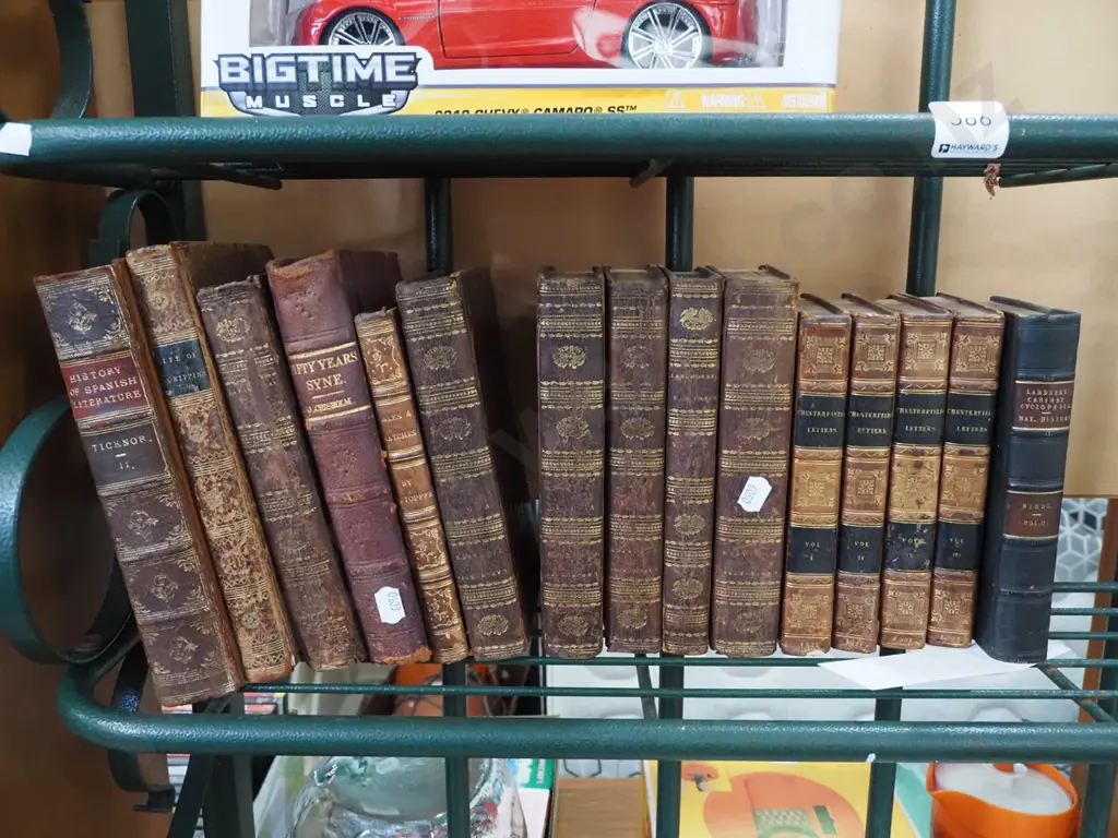 various leather bound books Image 1++