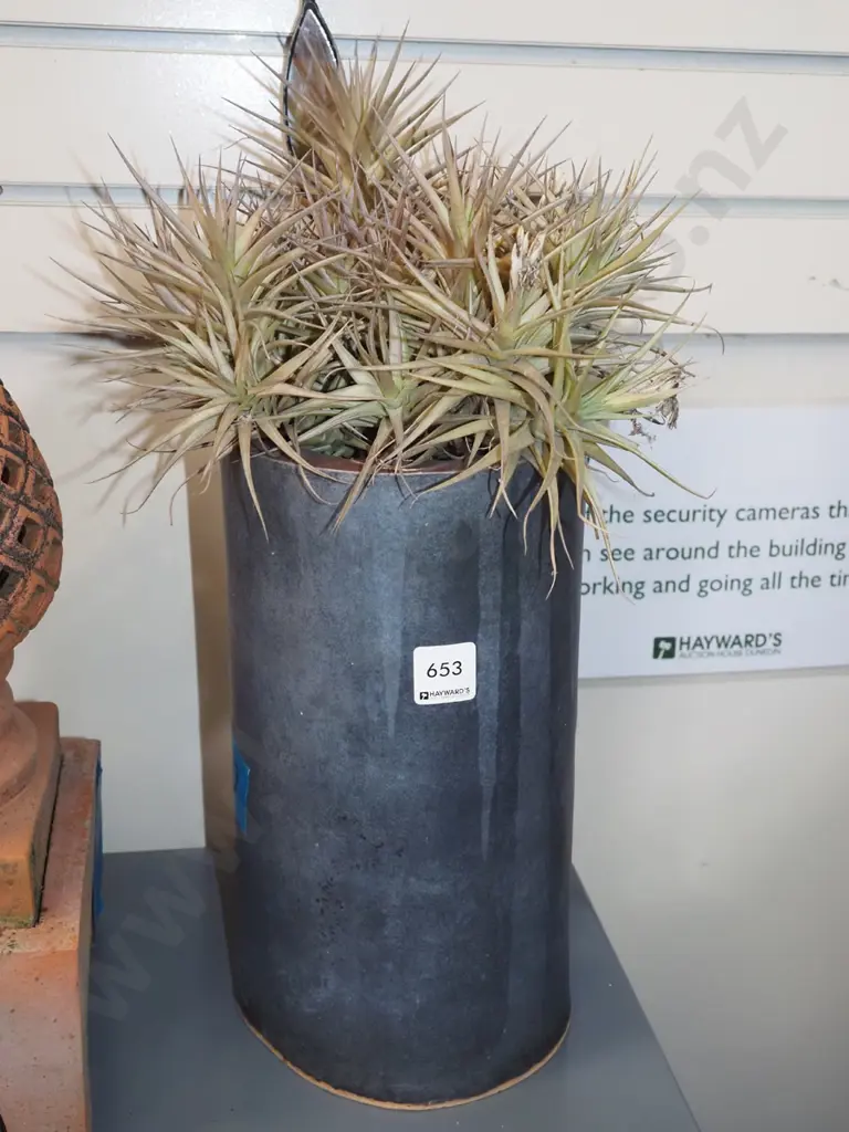 succulents in cylindrical planter Image 1++
