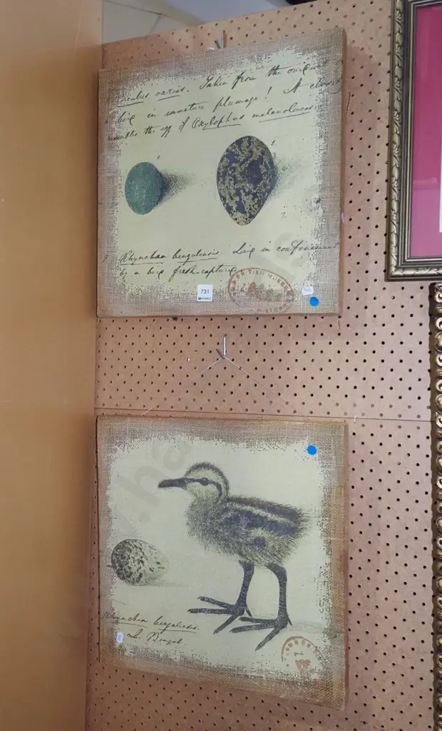 prints on boxed hessian - duck and eggs - blue dots Image 1++