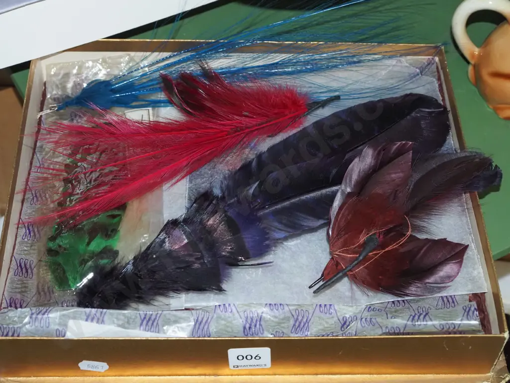 box; various milliner's feathers Image 1++