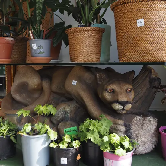 composite mountain lion themed coffee table with glass top H-420 W-1325 D-660