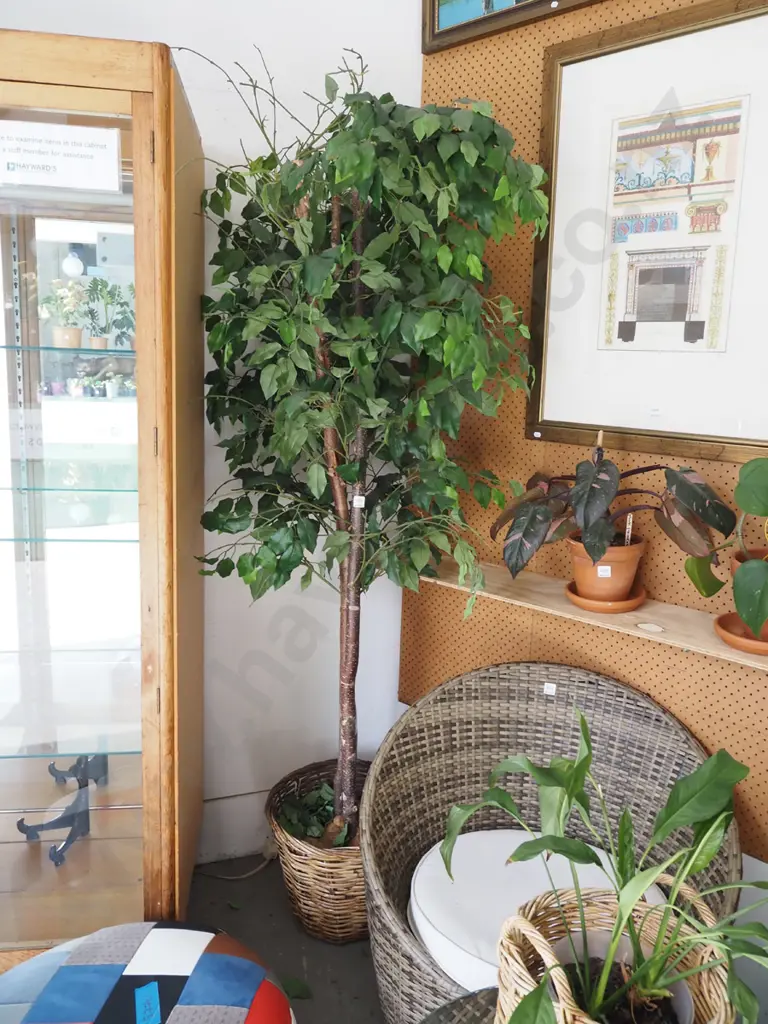 plastic tree in cane planter - leaves fall off easily H-2000 Image 1++
