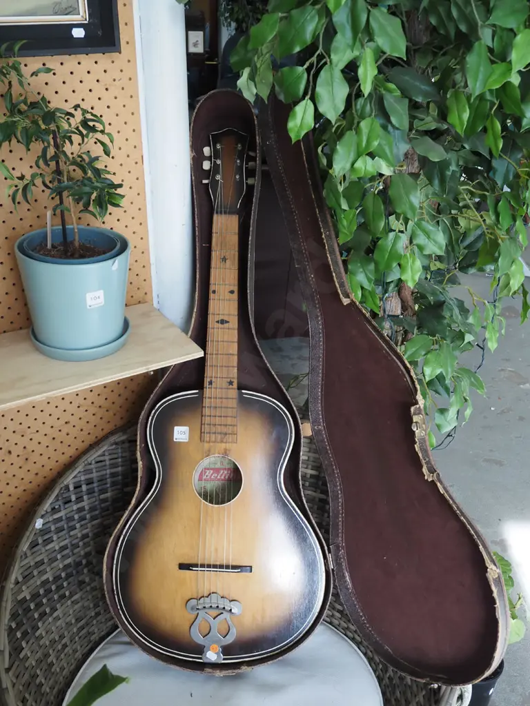 steel string guitar and carry case Image 1++