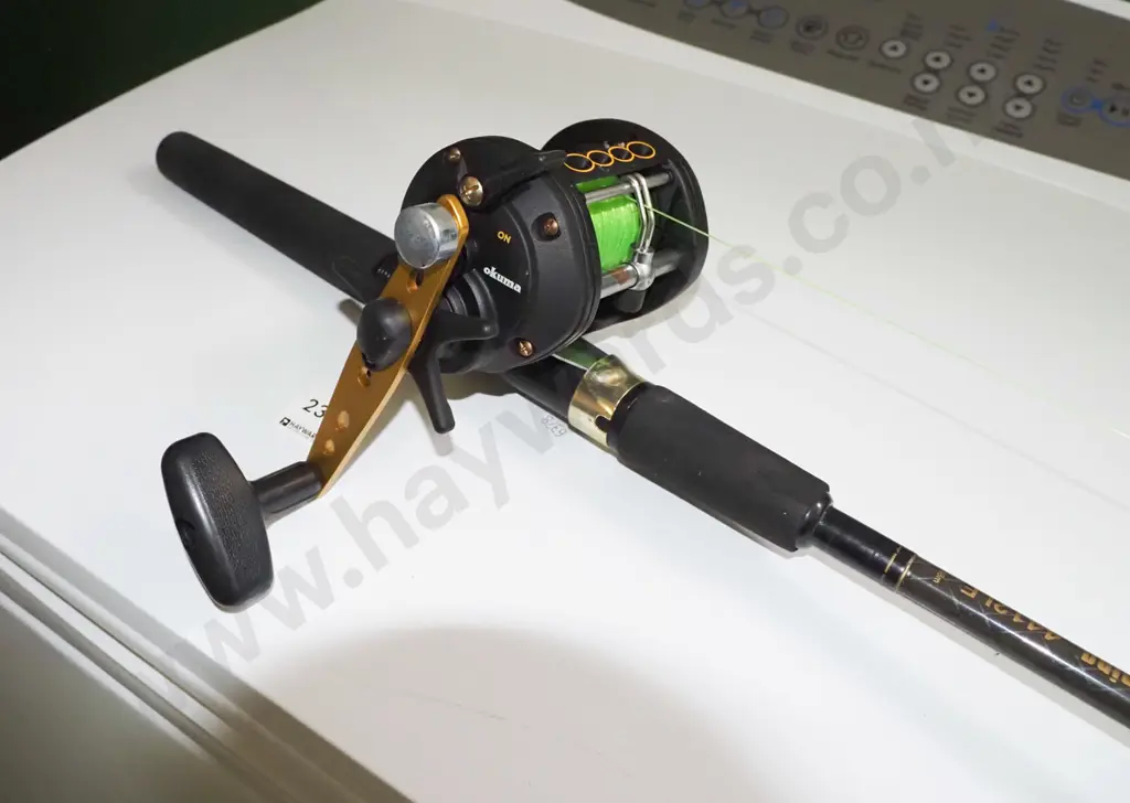 Daiwa graphite rod and Okuma reel Image 1++