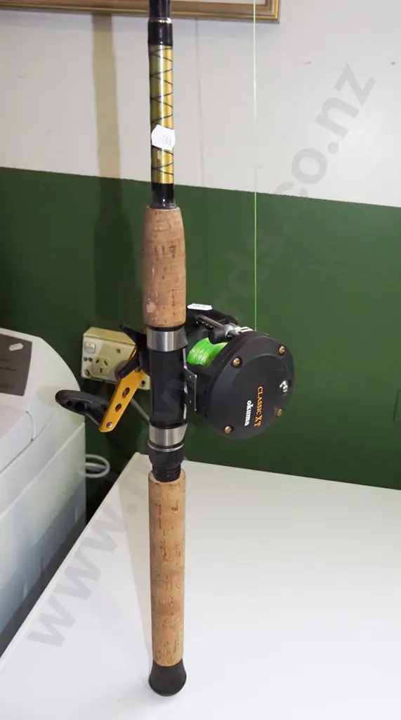 fishing rod and Okuma reel Image 1++