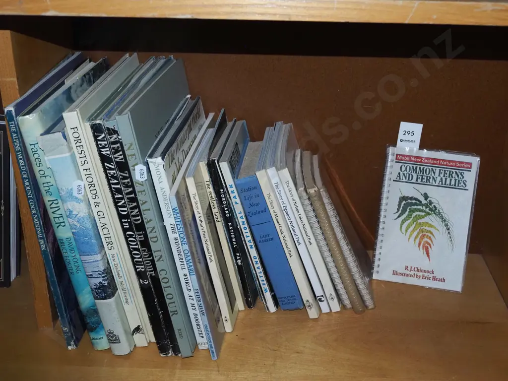 shelf; NZ books Image 1++