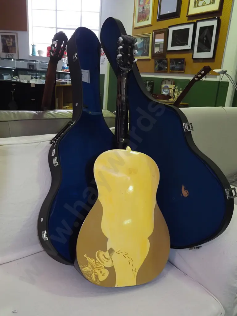 steel string acoustic guitar in hard carry case Image 1++