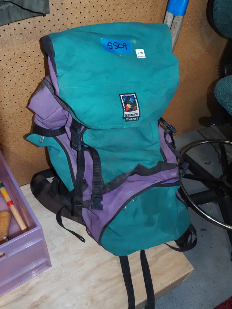 Hallmark Phoenix tramping pack Image 1++
