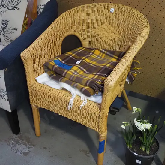 cane armchair