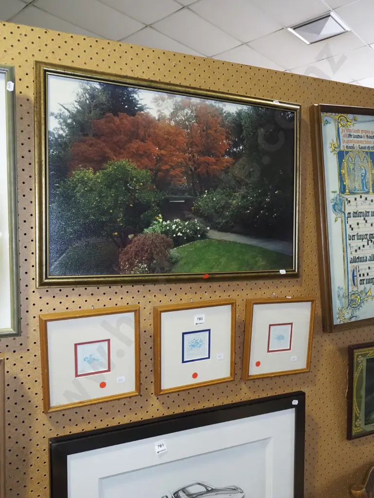 framed photo print - garden, 3x botanical prints - red dots Image 1++