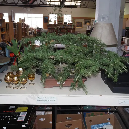 bonsai in planter Total H550 W970