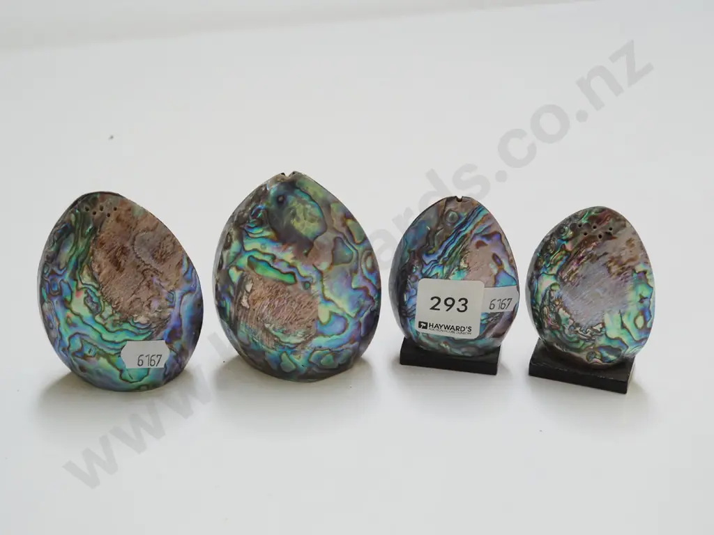 paua shell souvenir ware salt and peppers Image 1++
