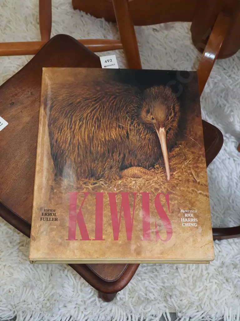 Kiwi book Image 1++