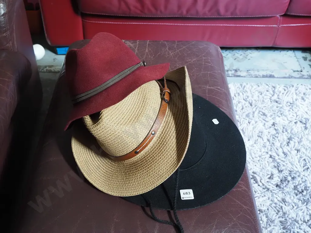 various hats Image 1++