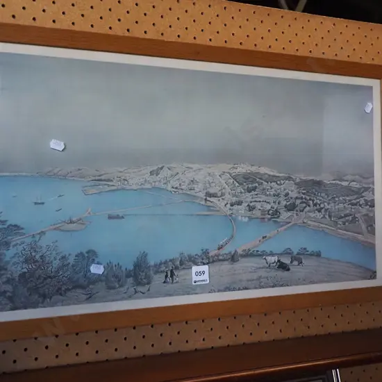 framed historic print - Dunedin