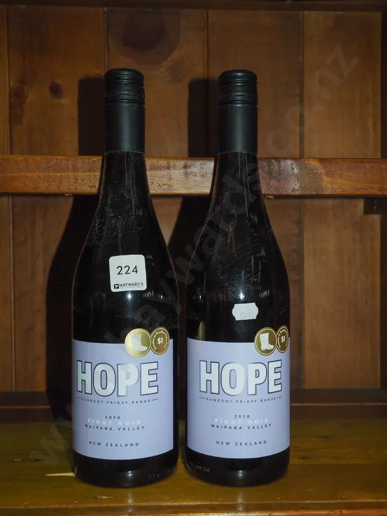 2x bottles Gumboot Friday Hope pinot noir 2020 Image 1++