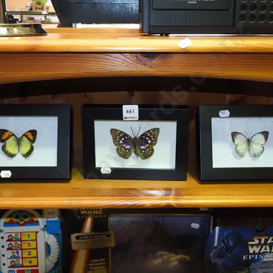 3x framed butterflies