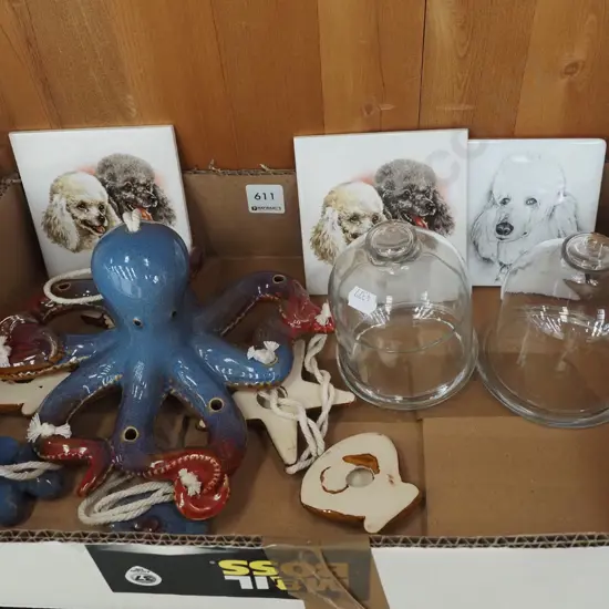 box; octupus mobile, coasters, small glass cover domes