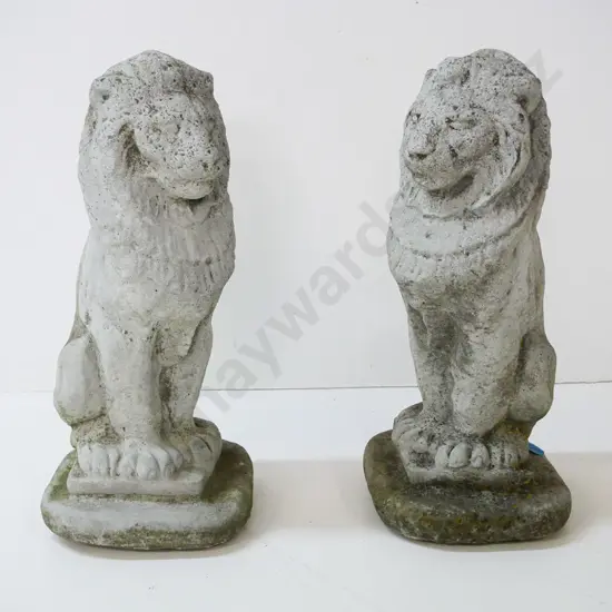 pair of cast concrete sitting lion garden figures H-370