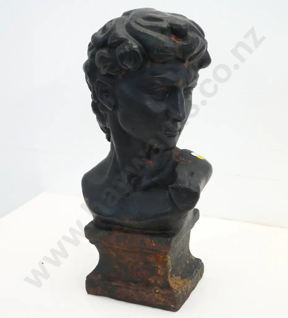 cast iron bust - head of Michelangelo's David - rust and wear to black finish. H-490 Image 1++
