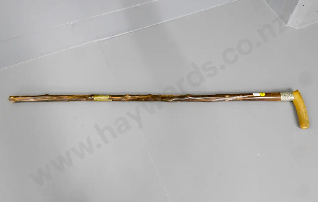 Briar walking stick, silver mounted with a horn handle, H-740 Image 1++