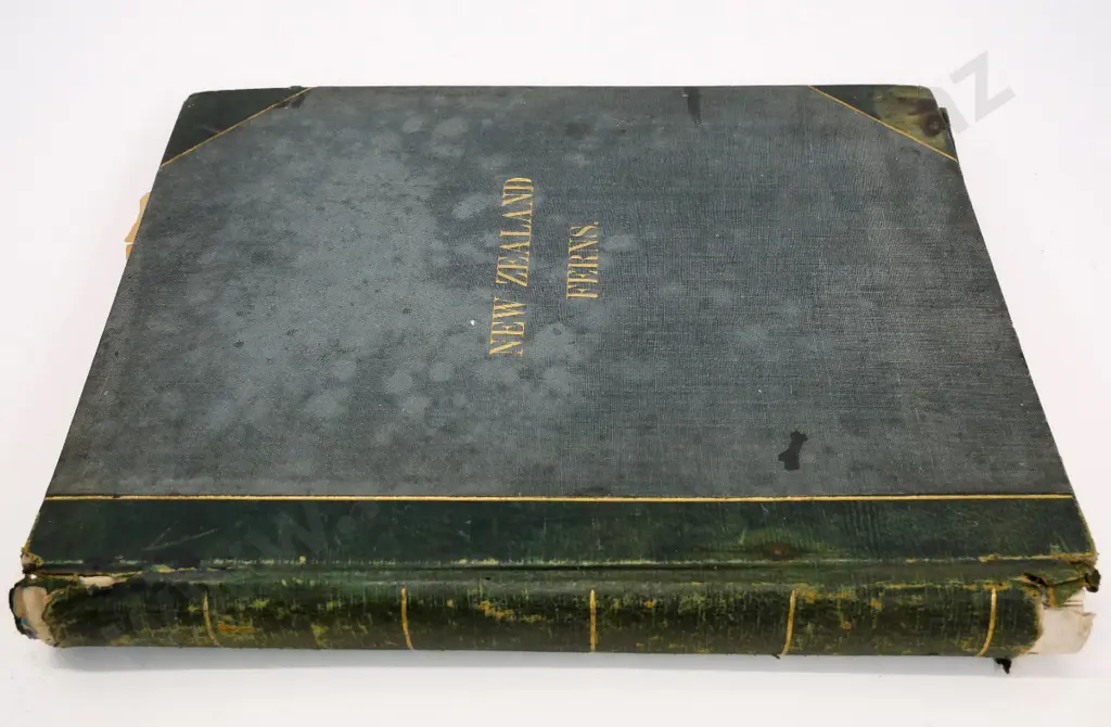 scrapbook inscribed James Rennie Port Chalmers 1884, newspaper clippings 1882 thru 1914, mainly education topics Image 1++