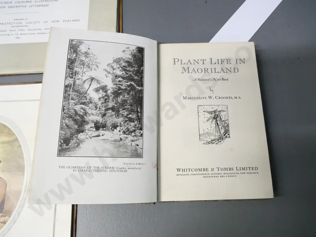 3 New Zealand books - Plant Life in Maoriland 1926, Sea and Shore birds 1953, and 'Scenic Playground of the Pacific' Image 1++