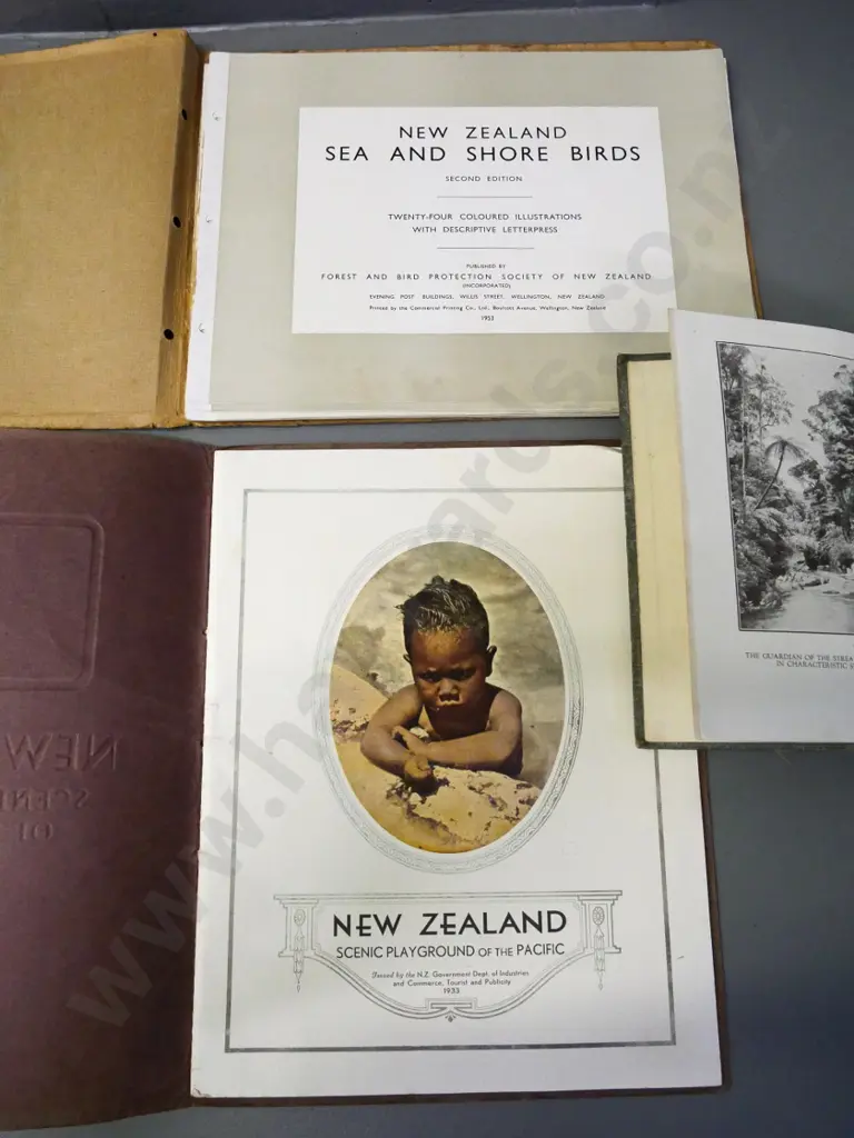 3 New Zealand books - Plant Life in Maoriland 1926, Sea and Shore birds 1953, and 'Scenic Playground of the Pacific' Image 1++