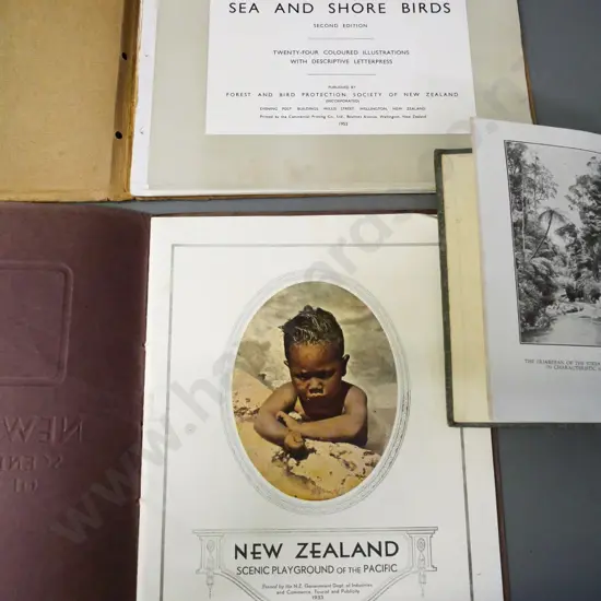 3 New Zealand books - Plant Life in Maoriland 1926, Sea and Shore birds 1953, and 'Scenic Playground of the Pacific'