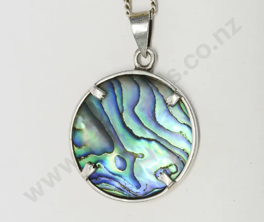 paua shell pendant Image 1++