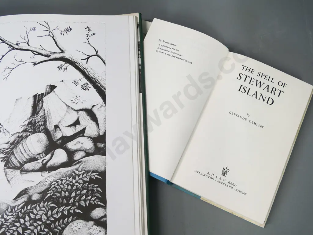 2 New Zealand books - Rei Hamon, 2nd collection, 1976, some wear to dust cover & Spell of Stewart Island - G. Dempsey Image 1++