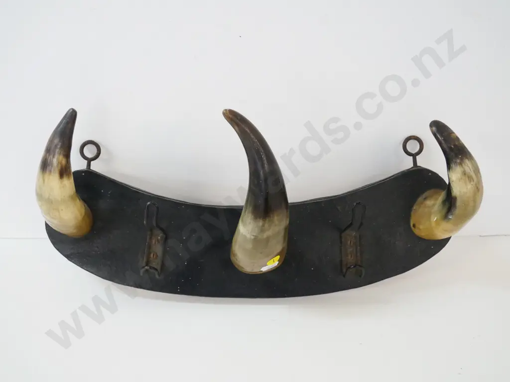 vintage cattle-horn coat rack - 3 horns & 2 metal hooks on leatherette-covered board, made in Holland H-170 W-430 Image 1++