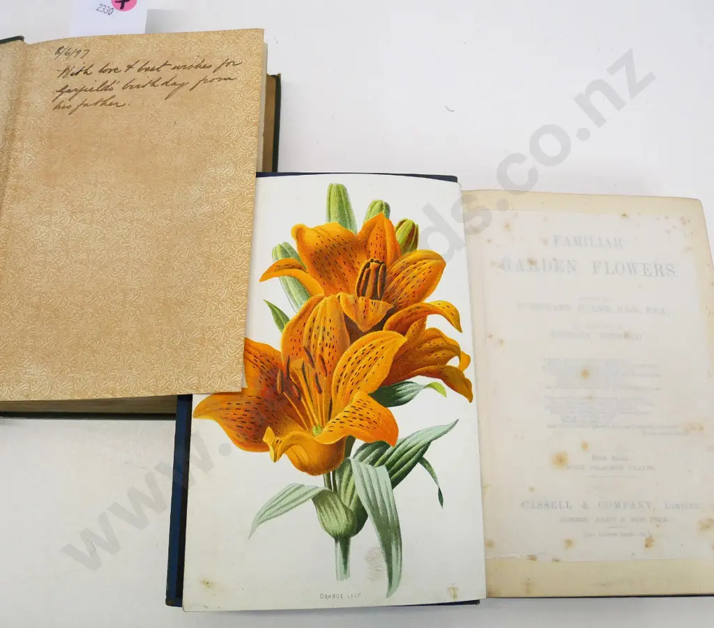 2 books: Familiar Garden Flowers, 3rd series, 40 colour plates, 1888 inscription & Uncle Tom's Cabin 1890 - marks & wear Image 1++
