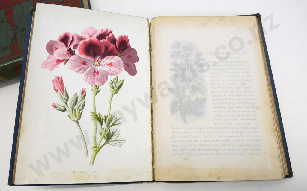 2 books: Familiar Garden Flowers, 3rd series, 40 colour plates, 1888 inscription & Uncle Tom's Cabin 1890 - marks & wear Image 1++
