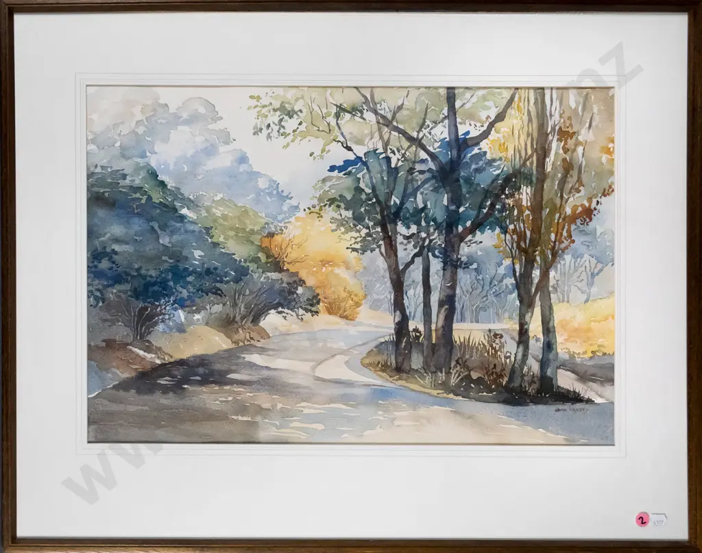 Joan Hardy - framed watercolour - Duchess Avenue Dunedin H-360 W-530 Image 1++