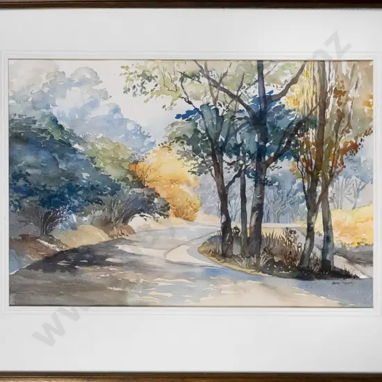 Joan Hardy - framed watercolour - Duchess Avenue Dunedin H-360 W-530