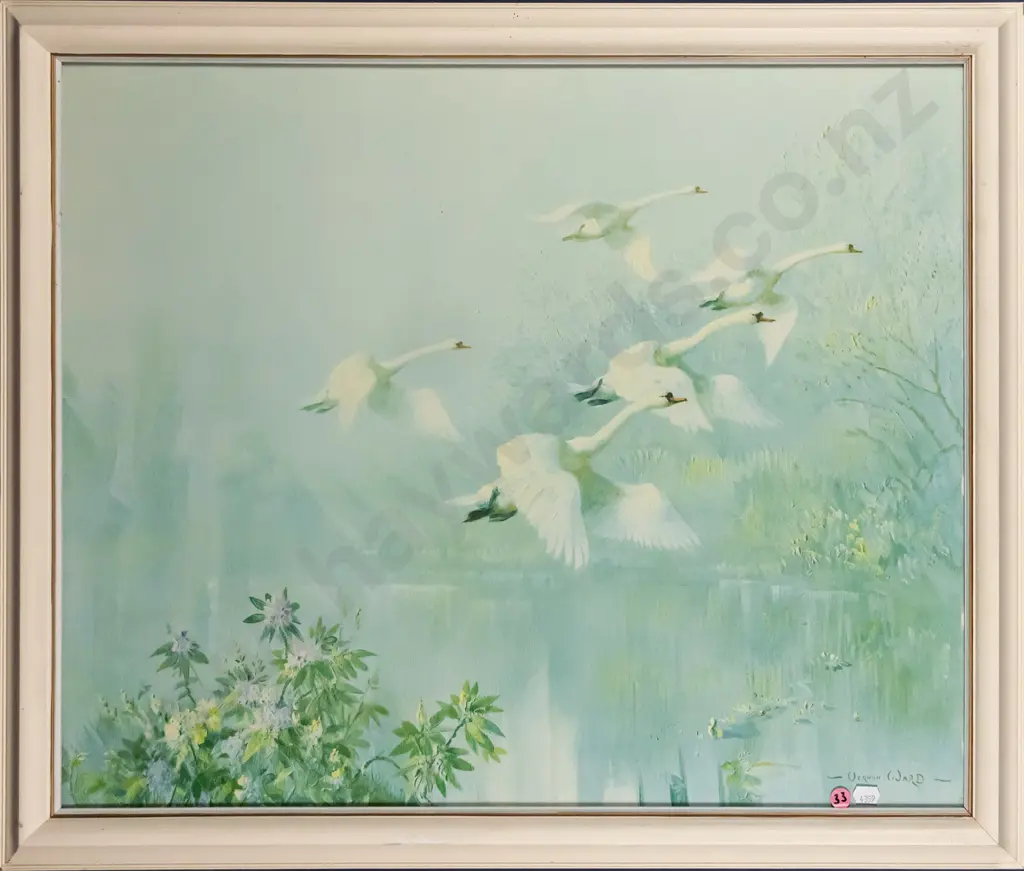 framed Vernon Ward print - swans H-500 W-600 Image 1++