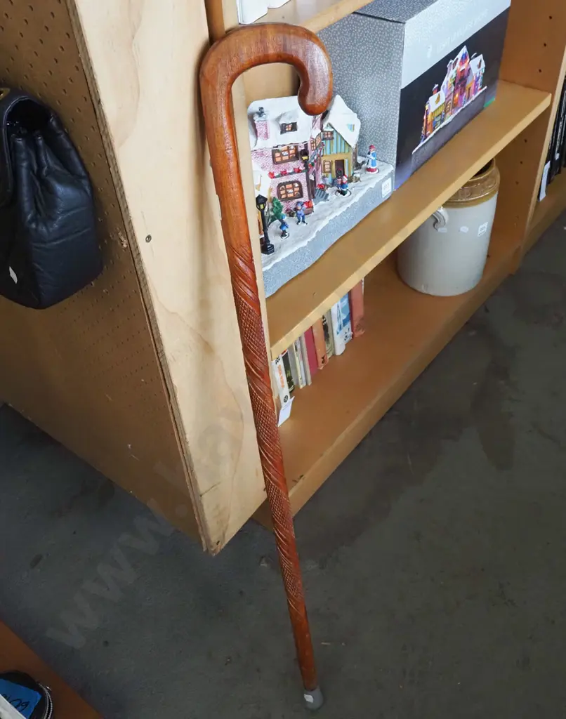 walking stick Image 1++