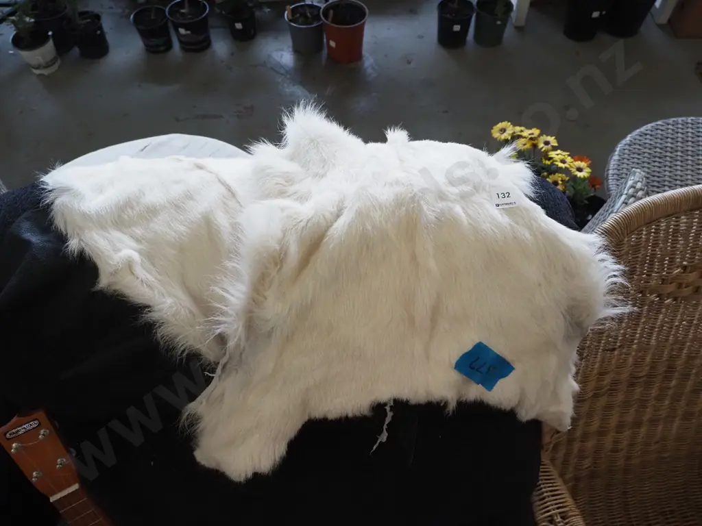 animal pelt Image 1++