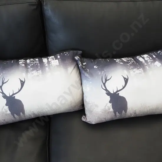 2x cushions 