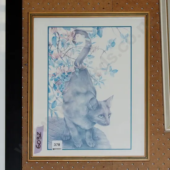 framed print - cat
