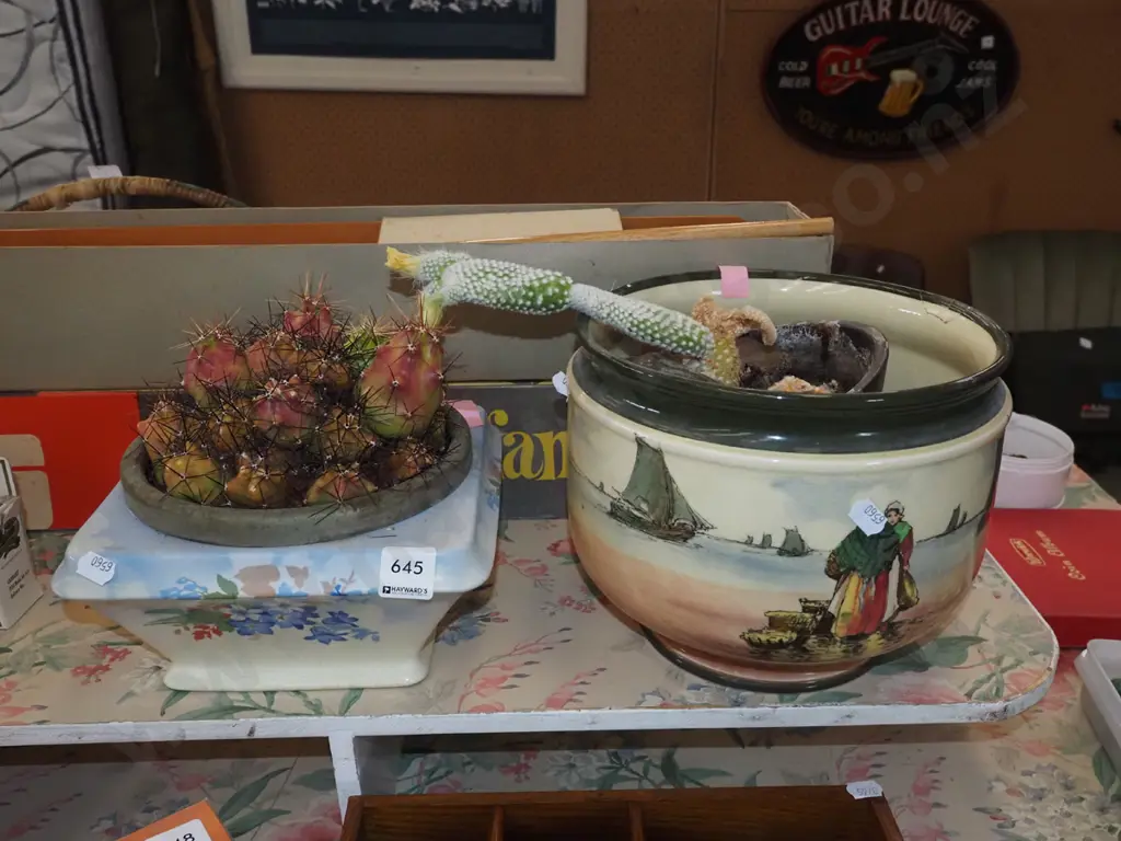 2x cacti - 1 in jardiniere - Royal Doulton jardinere has repair Image 1++