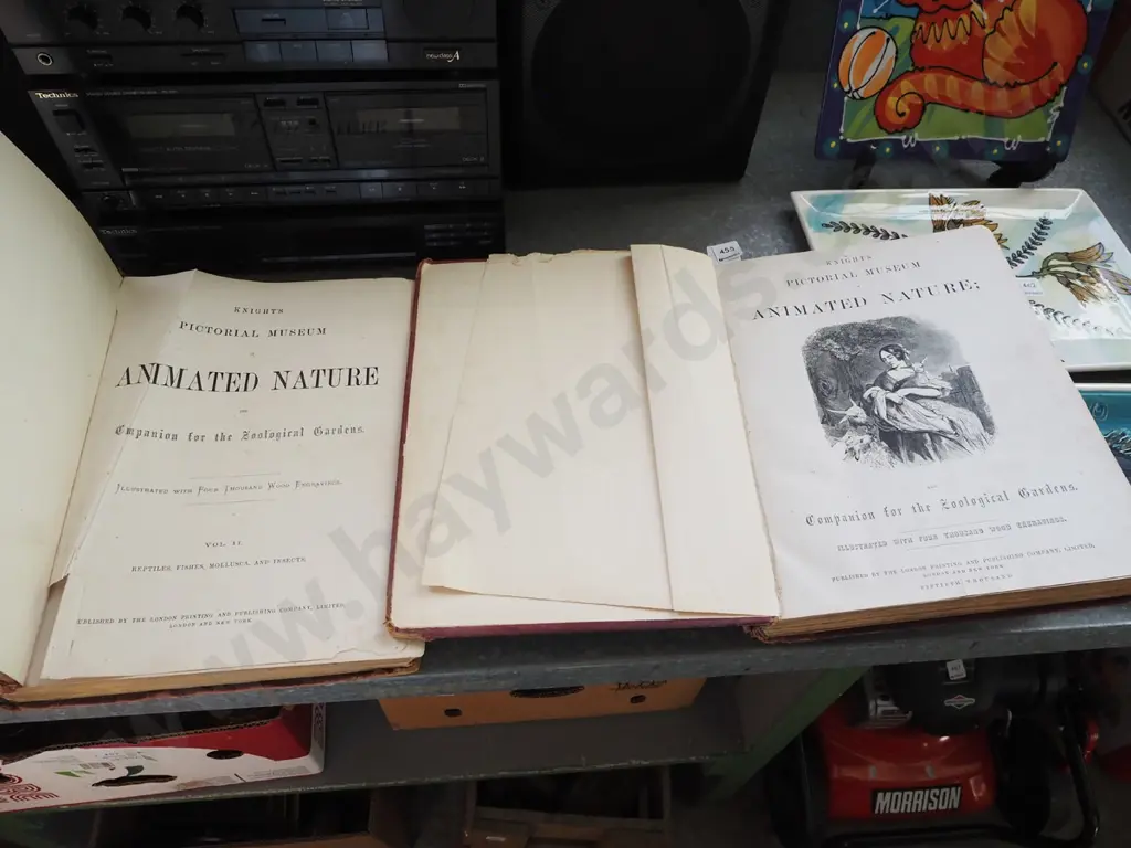 2x vintage editions of Animated Nature Image 1++