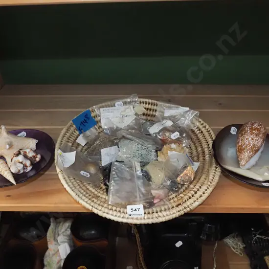 seashells
