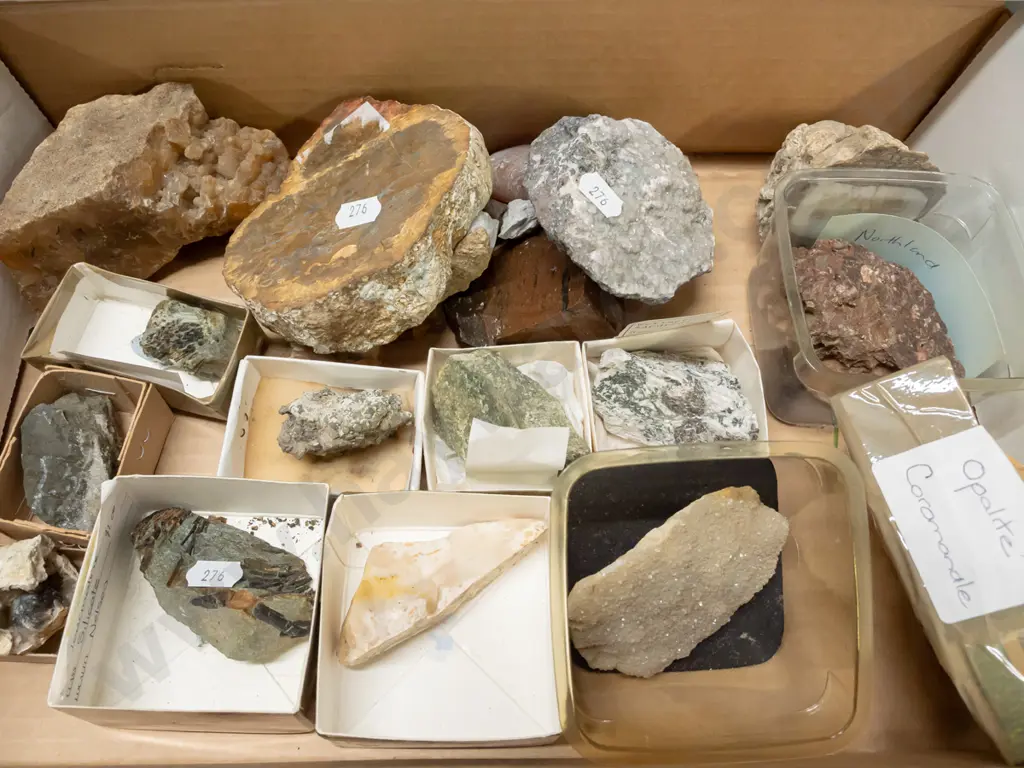 large collection of rock & mineral samples. Some labeled with NZ locations. Image 1++