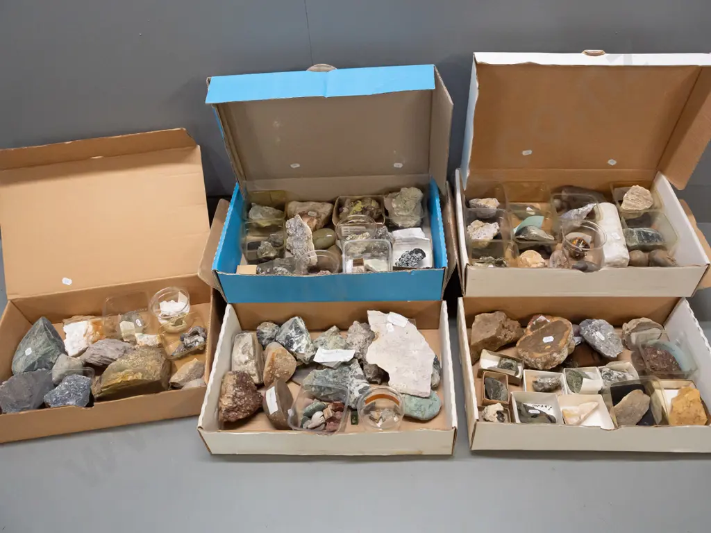 large collection of rock & mineral samples. Some labeled with NZ locations. Image 1++