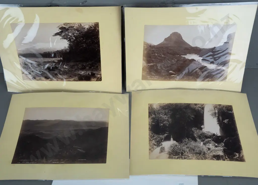 8 vintage NZ photographs, some on double sided card, 2 in mats, north island subjects: early Auckland waterfront, King Image 1++
