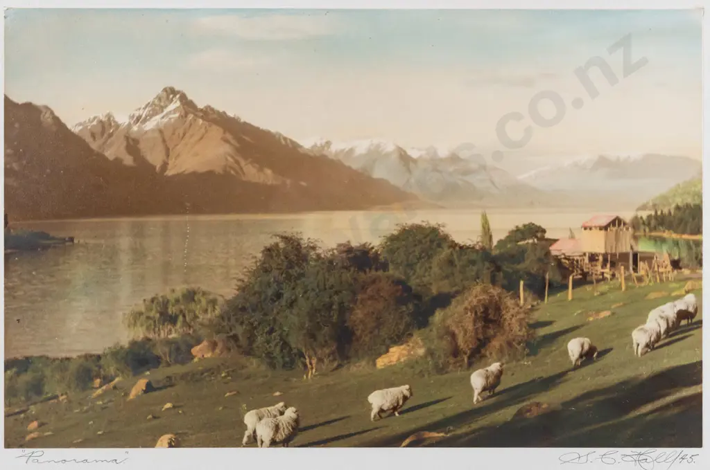 framed vintage hand coloured photograph "Panorama" - Lake Wakatipu H185 W300 (frame needs attention) Image 1++