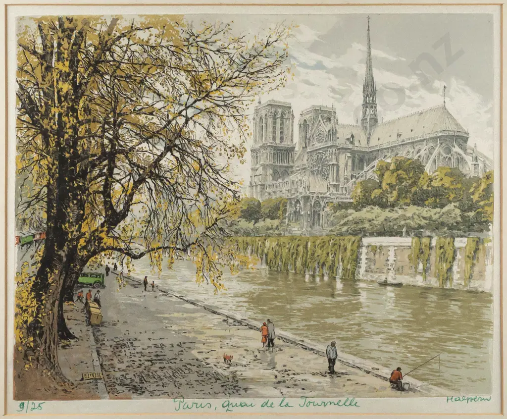 Halpern - framed ltd edition print 9/25 - Paris H260 W330 Image 1++
