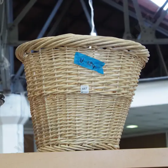 cane basket H370